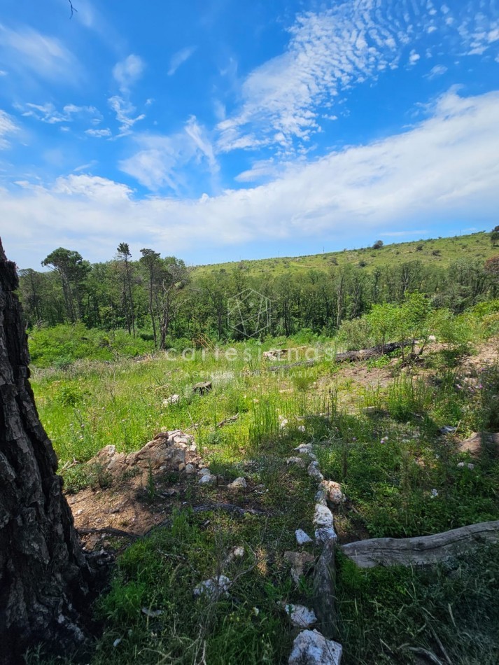 LOTE DE 5000 M2 POTRERILLO PUEBLO DE MONTAÑA POTRERO GARAY