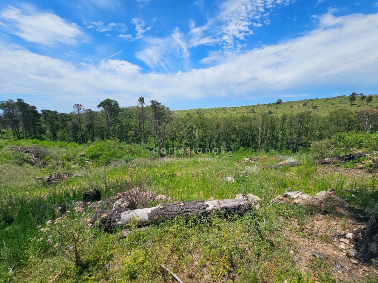 LOTE DE 5000 M2 POTRERILLO PUEBLO DE MONTAÑA POTRERO GARAY