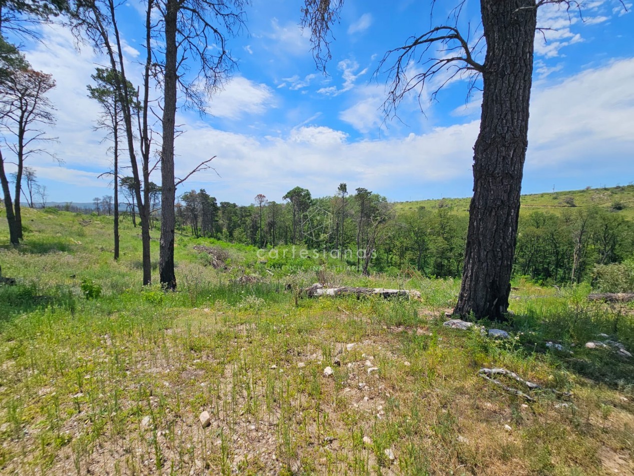 LOTE DE 5000 M2 POTRERILLO PUEBLO DE MONTAÑA POTRERO GARAY