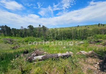 LOTE DE 5000 M2 POTRERILLO PUEBLO DE MONTAÑA POTRERO GARAY