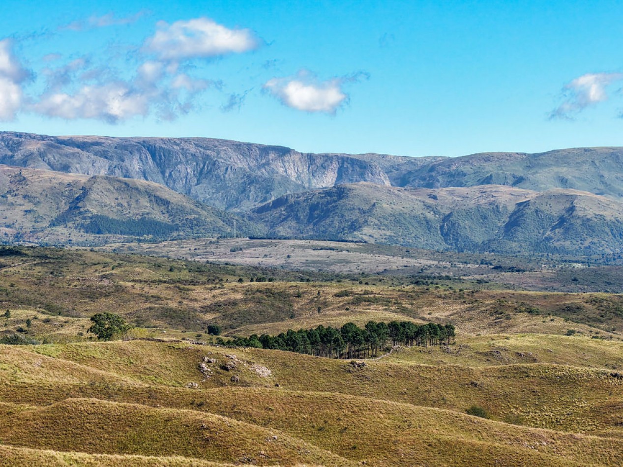 POTRERO DE GARAY- 76 HECTAREAS