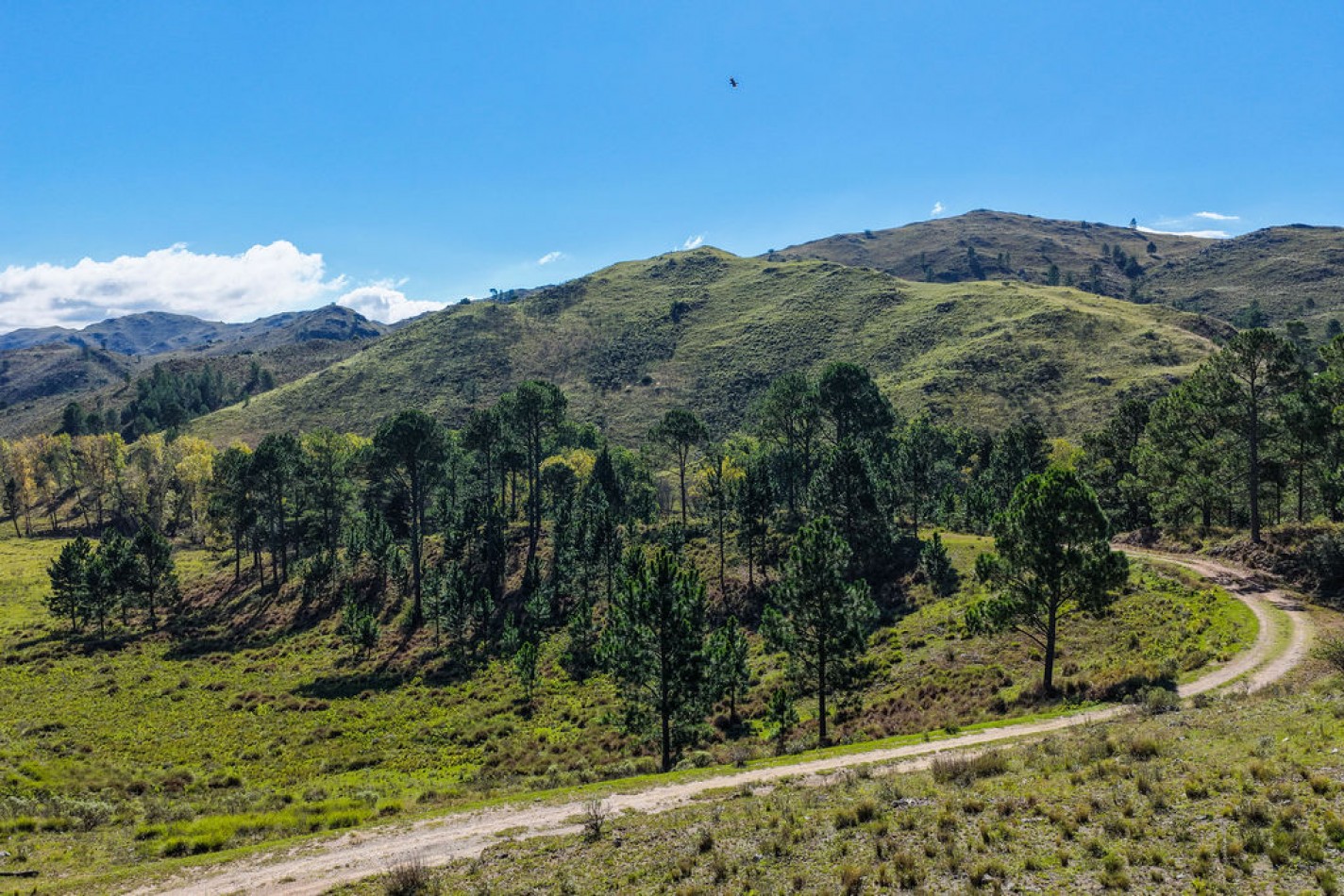 POTRERO DE GARAY- 76 HECTAREAS