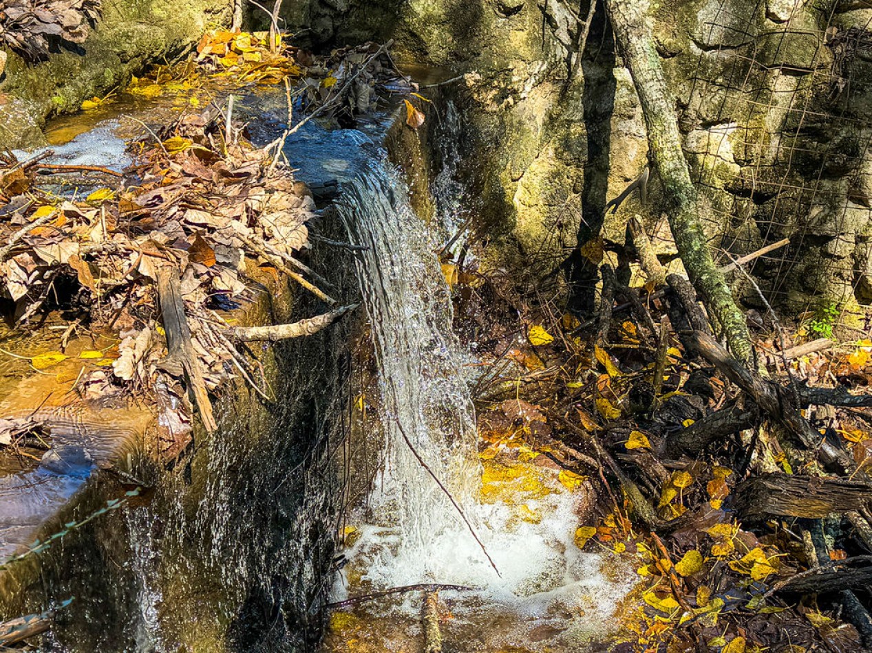 POTRERO DE GARAY- 76 HECTAREAS