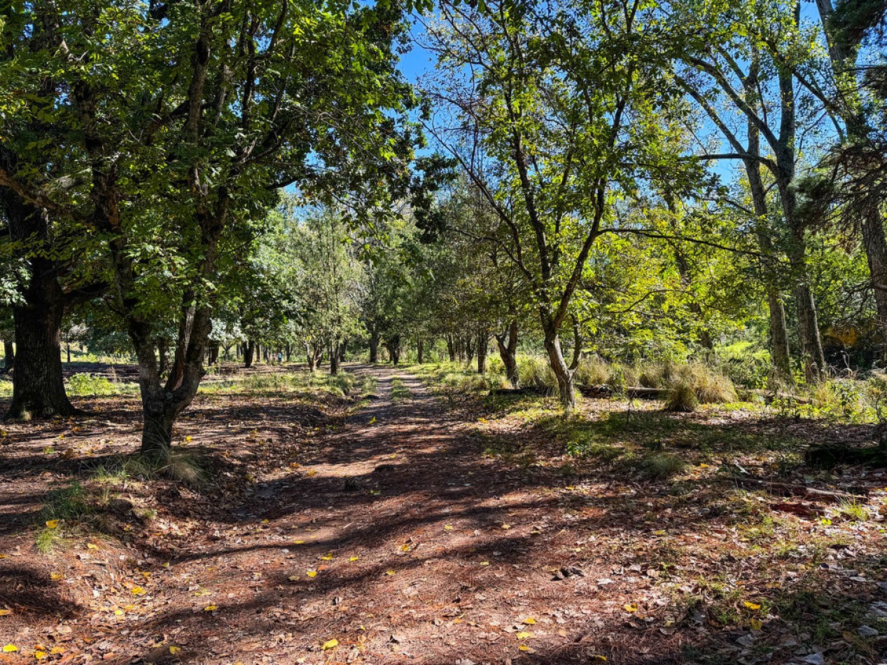 POTRERO DE GARAY- 76 HECTAREAS