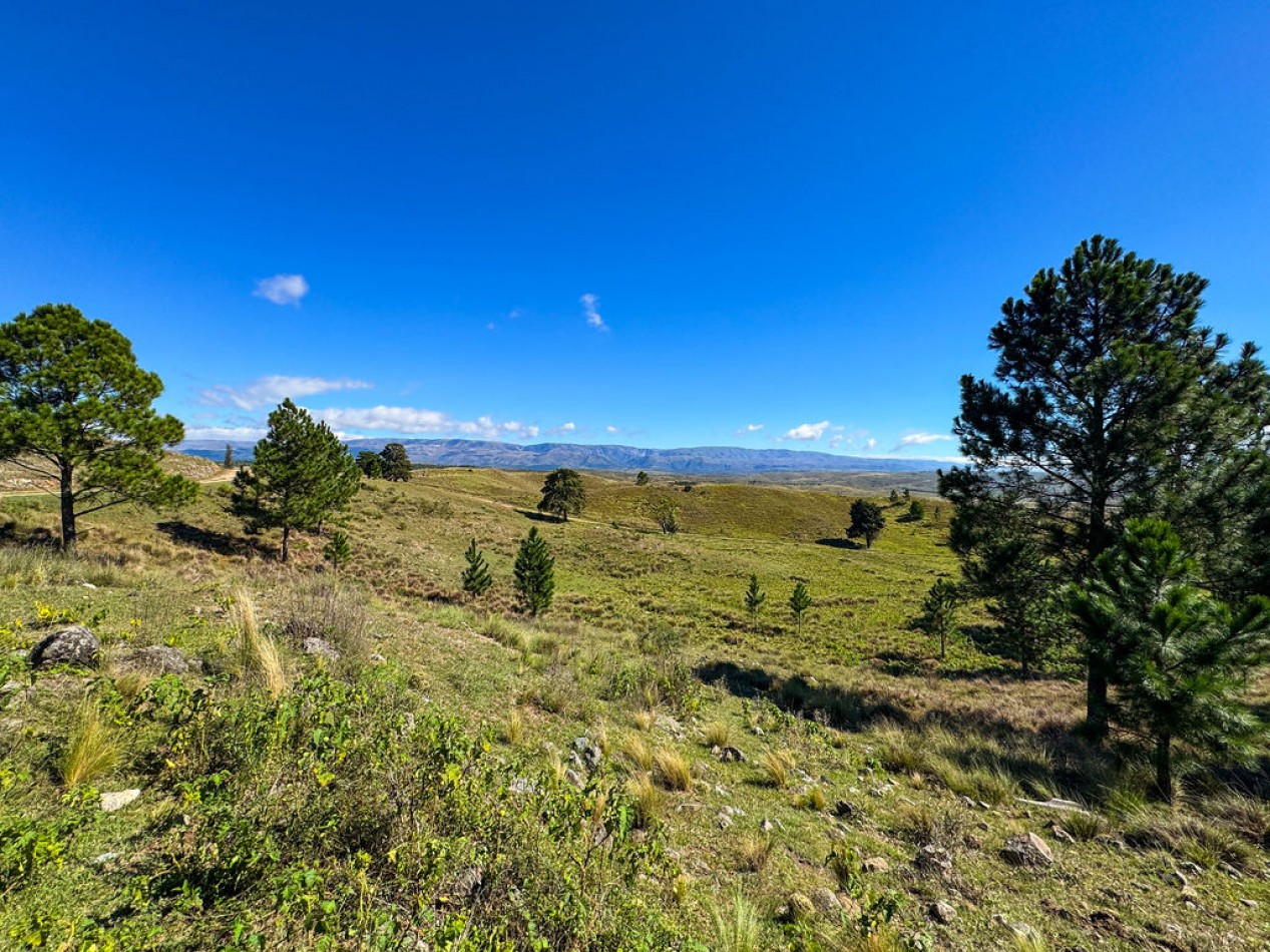 POTRERO DE GARAY- 76 HECTAREAS