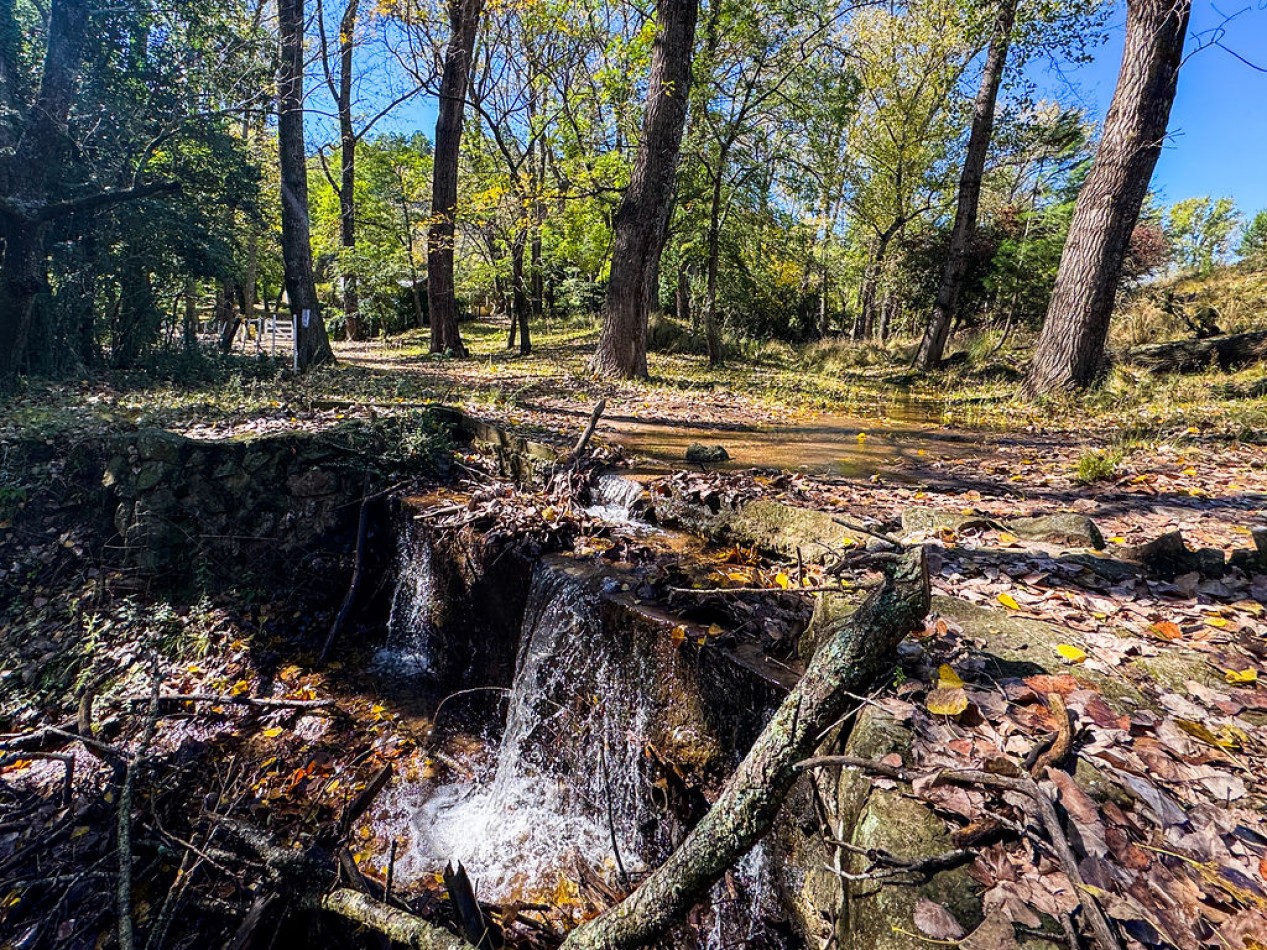 POTRERO DE GARAY- 76 HECTAREAS