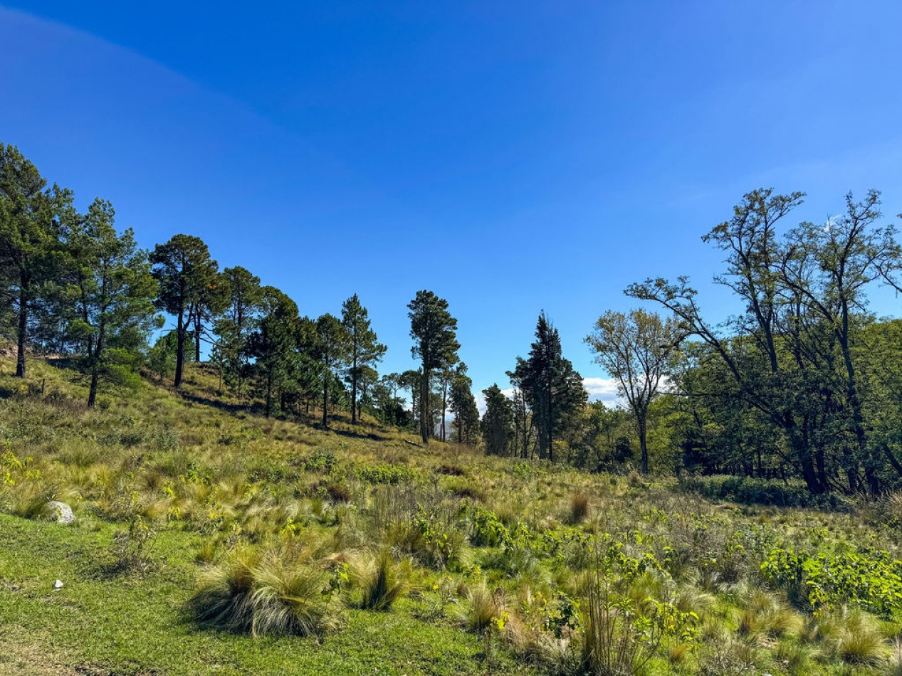 POTRERO DE GARAY- 76 HECTAREAS