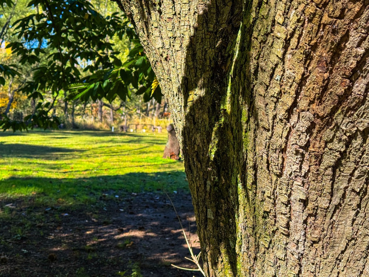 POTRERO DE GARAY- 76 HECTAREAS