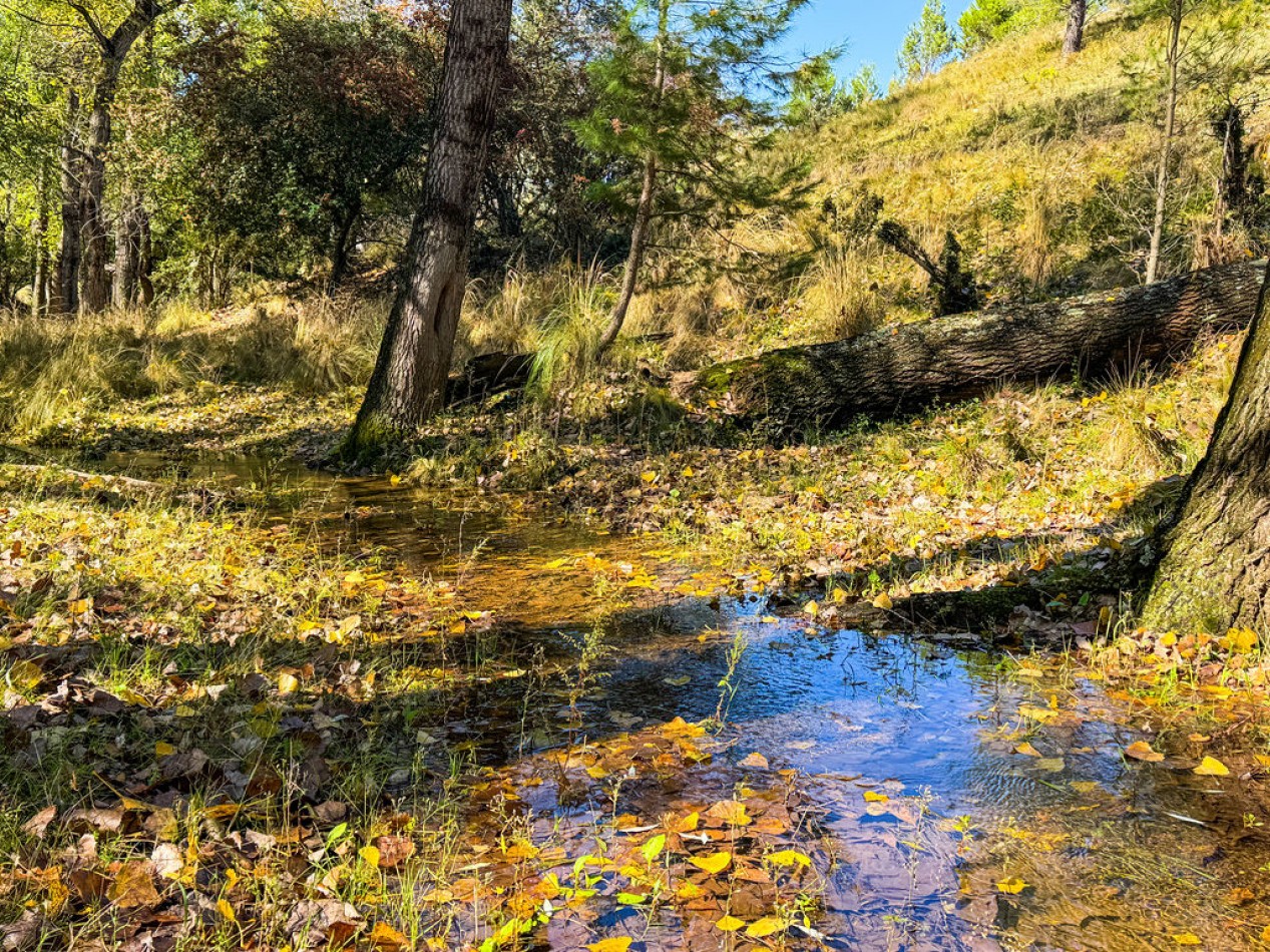 POTRERO DE GARAY- 76 HECTAREAS