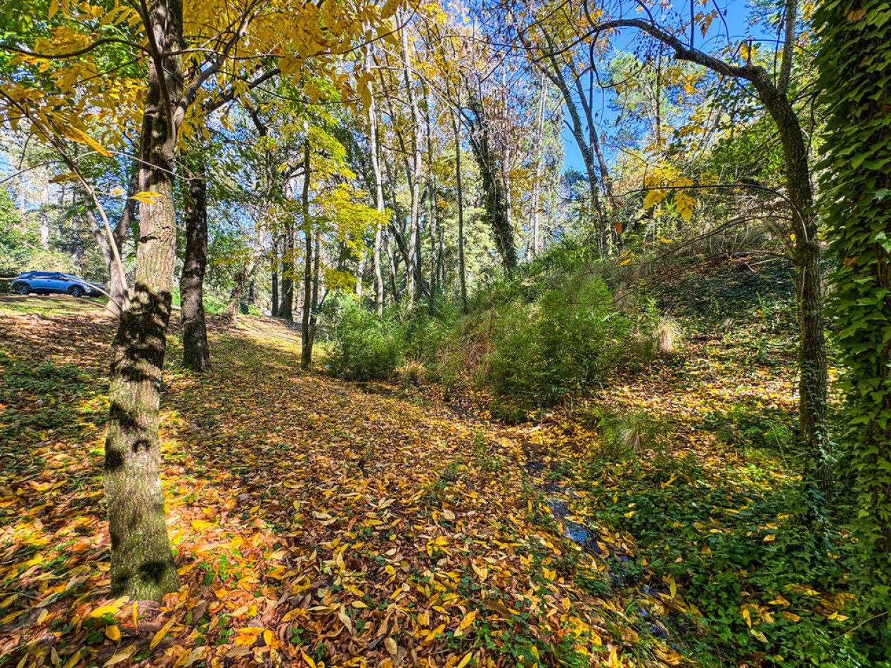 POTRERO DE GARAY- 76 HECTAREAS