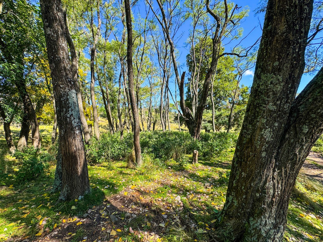 POTRERO DE GARAY- 76 HECTAREAS