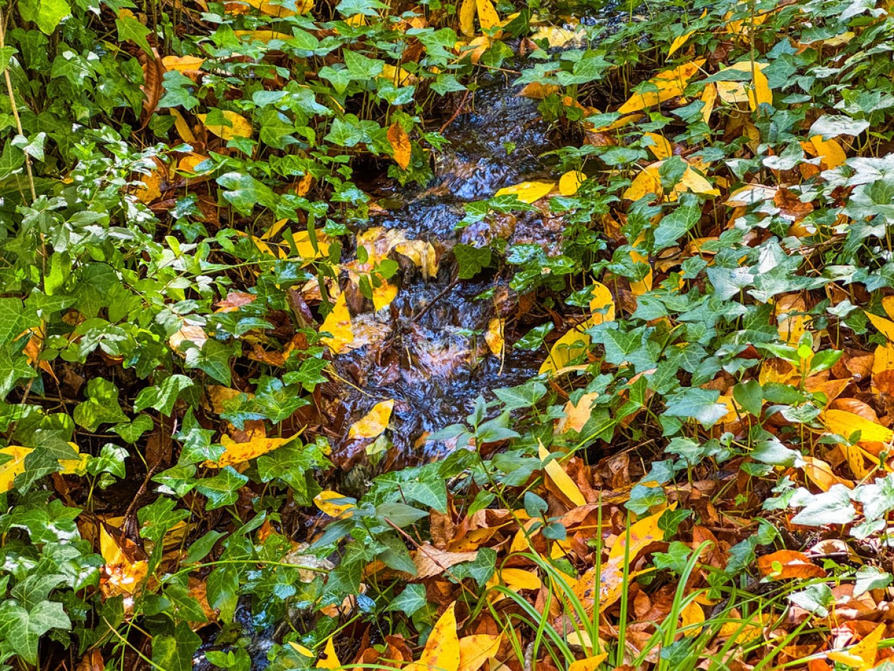 POTRERO DE GARAY- 76 HECTAREAS