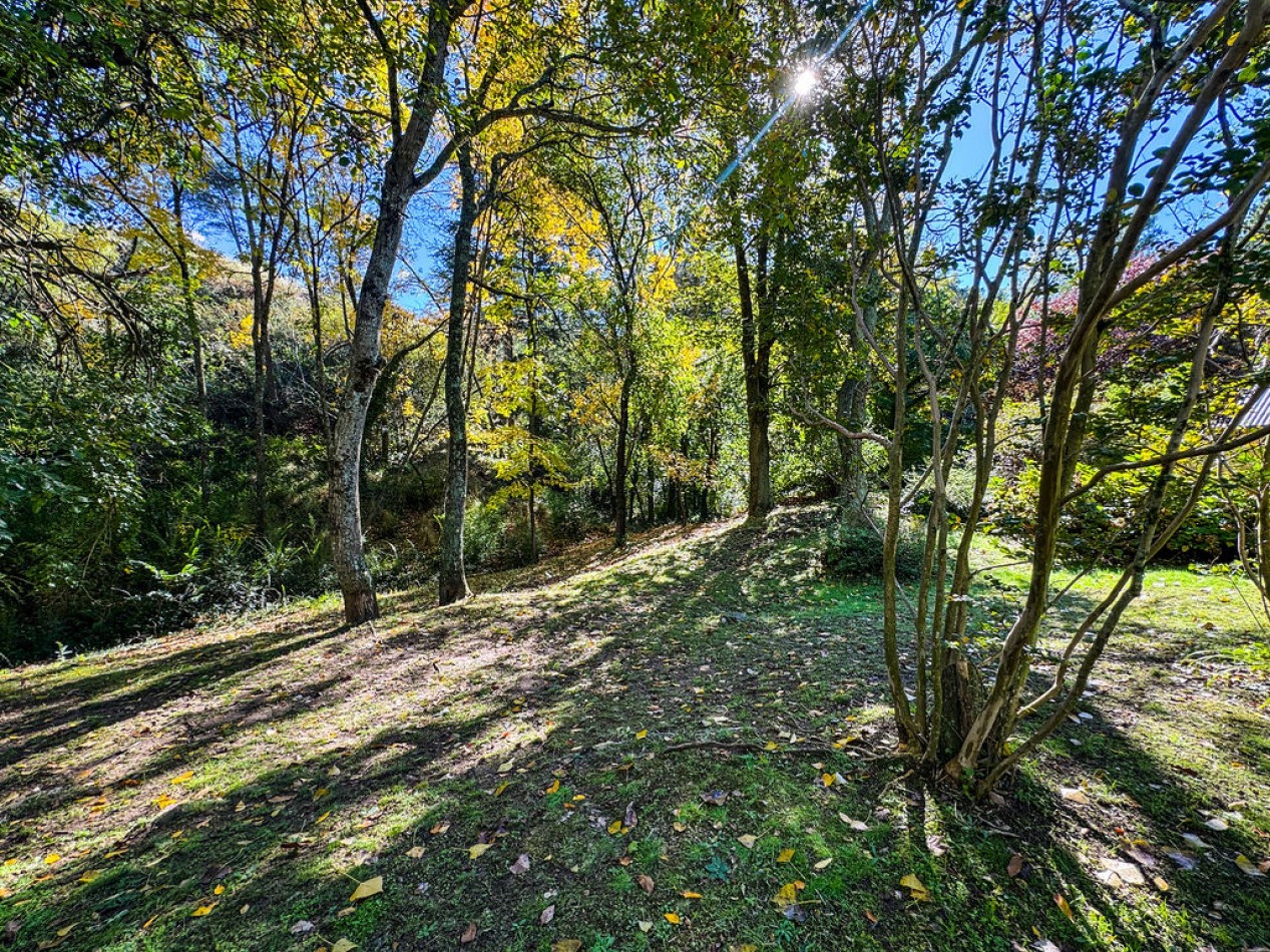 POTRERO DE GARAY- 76 HECTAREAS