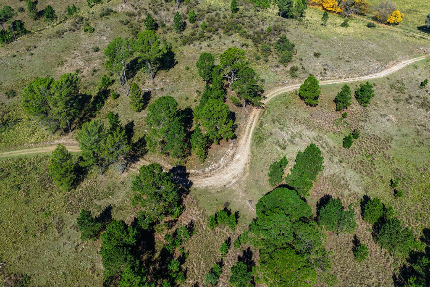 POTRERO DE GARAY- 76 HECTAREAS