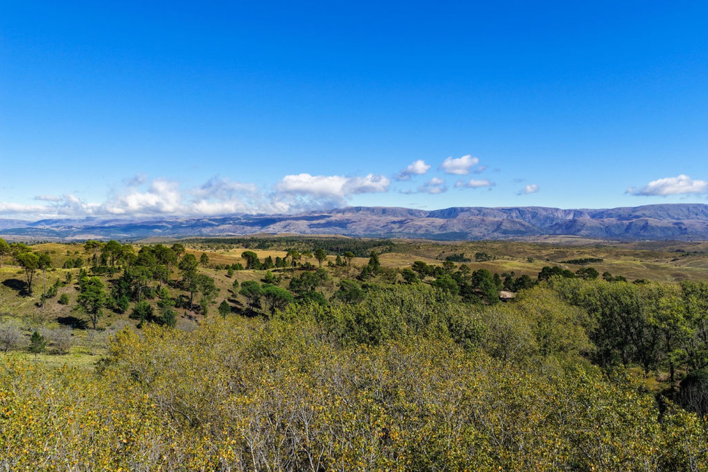 POTRERO DE GARAY- 76 HECTAREAS
