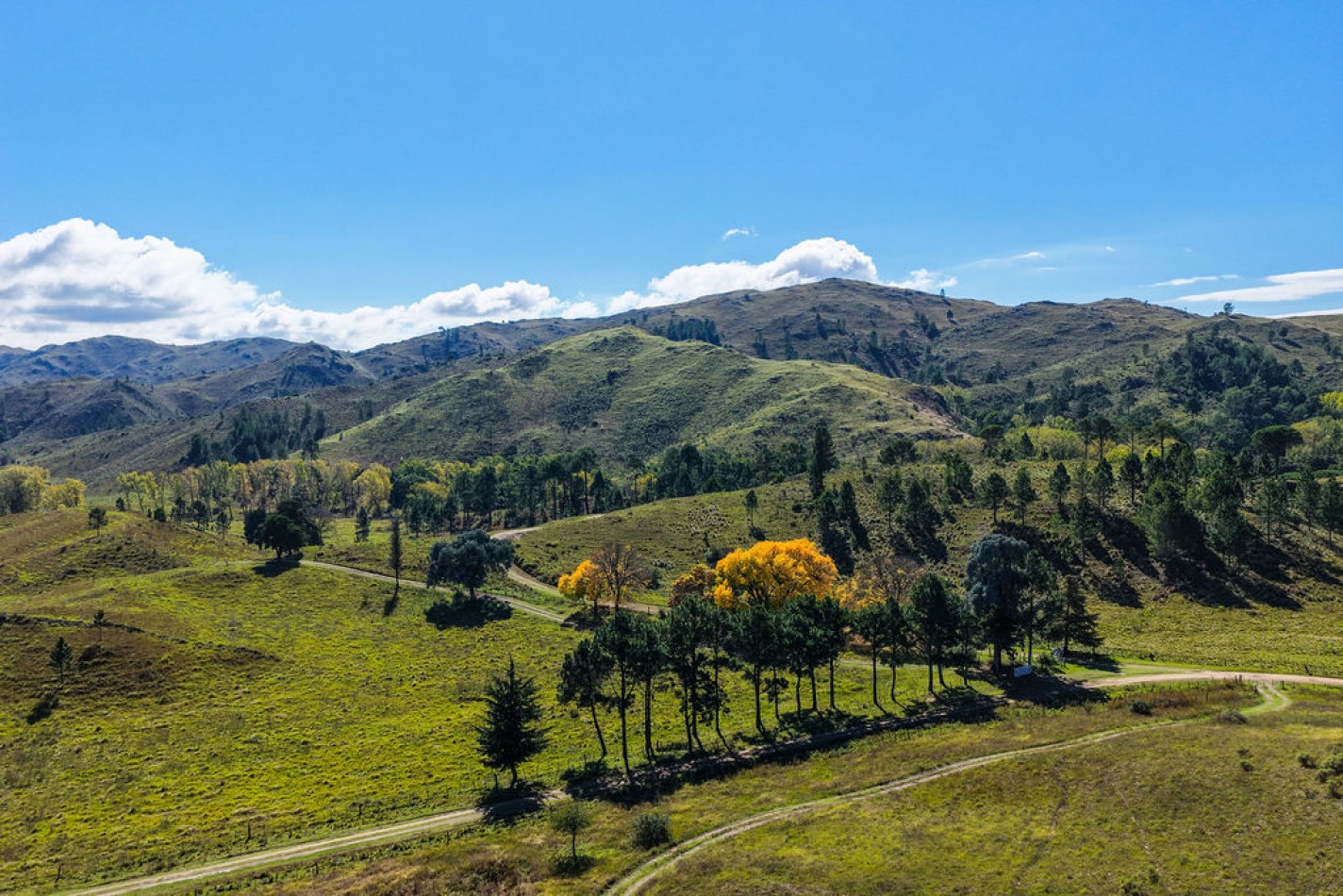 POTRERO DE GARAY- 76 HECTAREAS