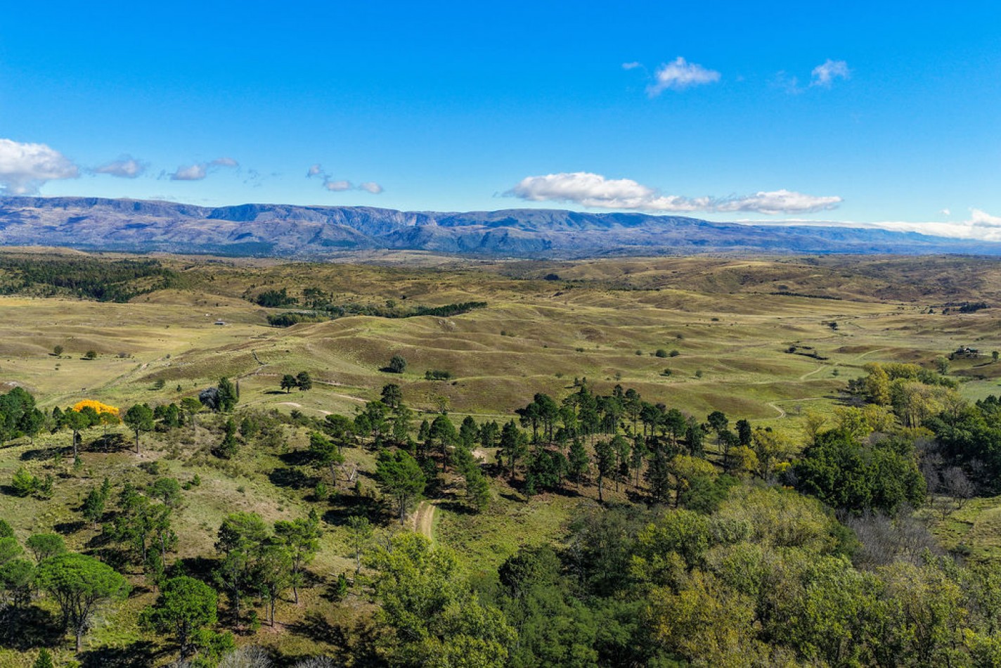 POTRERO DE GARAY- 76 HECTAREAS