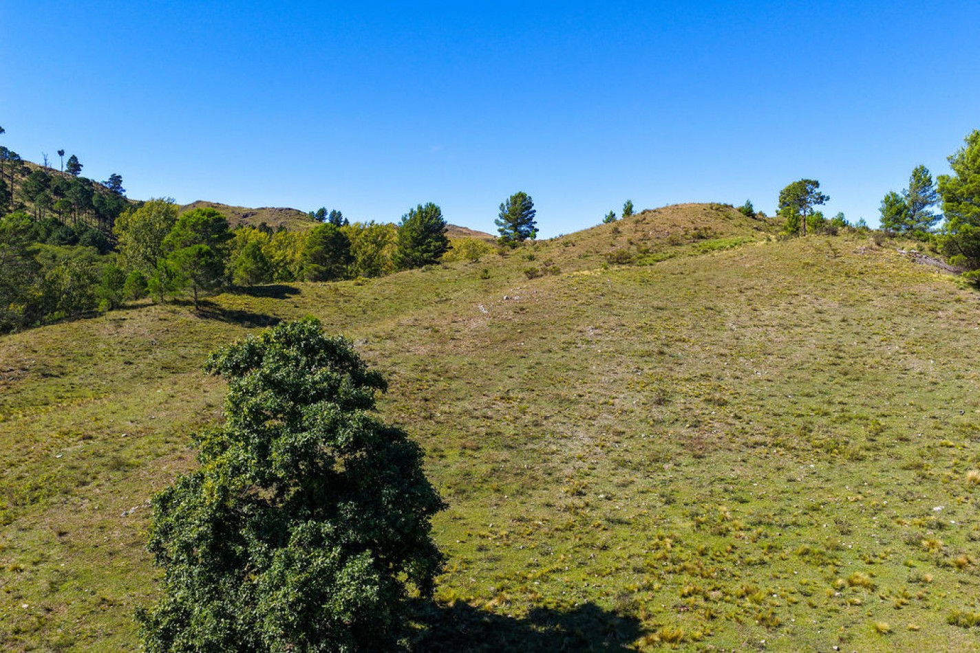 POTRERO DE GARAY- 76 HECTAREAS