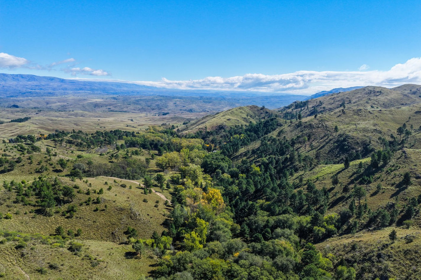 POTRERO DE GARAY- 76 HECTAREAS