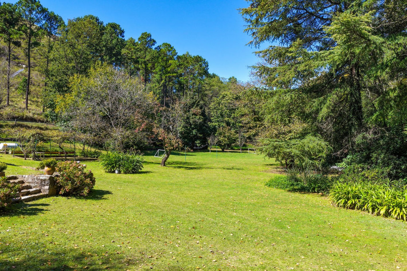 POTRERO DE GARAY- 76 HECTAREAS