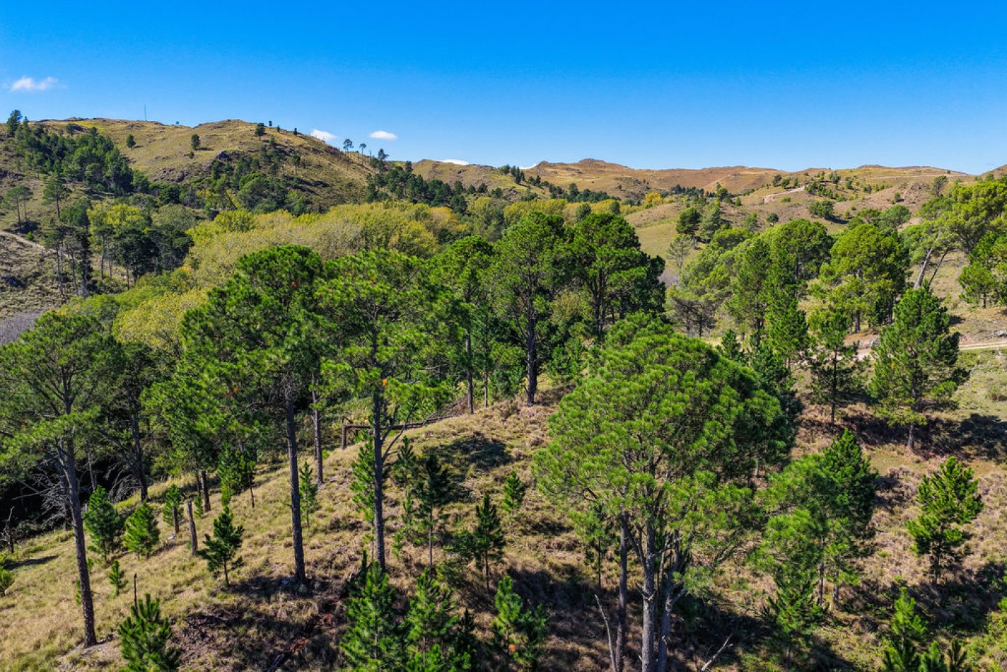 POTRERO DE GARAY- 76 HECTAREAS