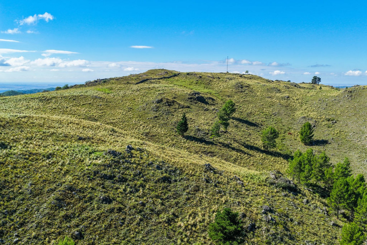 POTRERO DE GARAY- 76 HECTAREAS