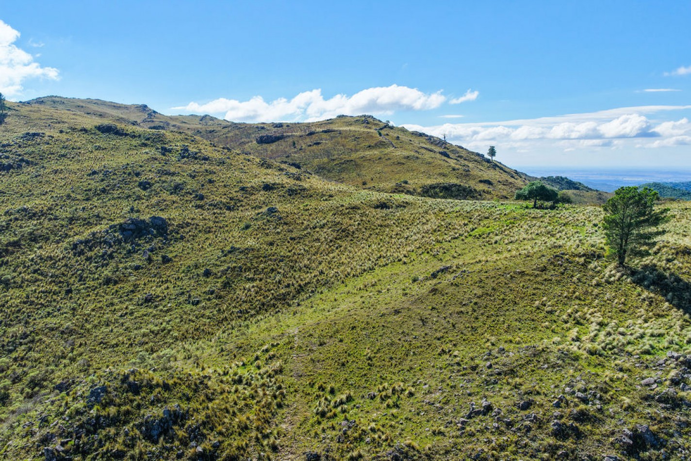 POTRERO DE GARAY- 76 HECTAREAS