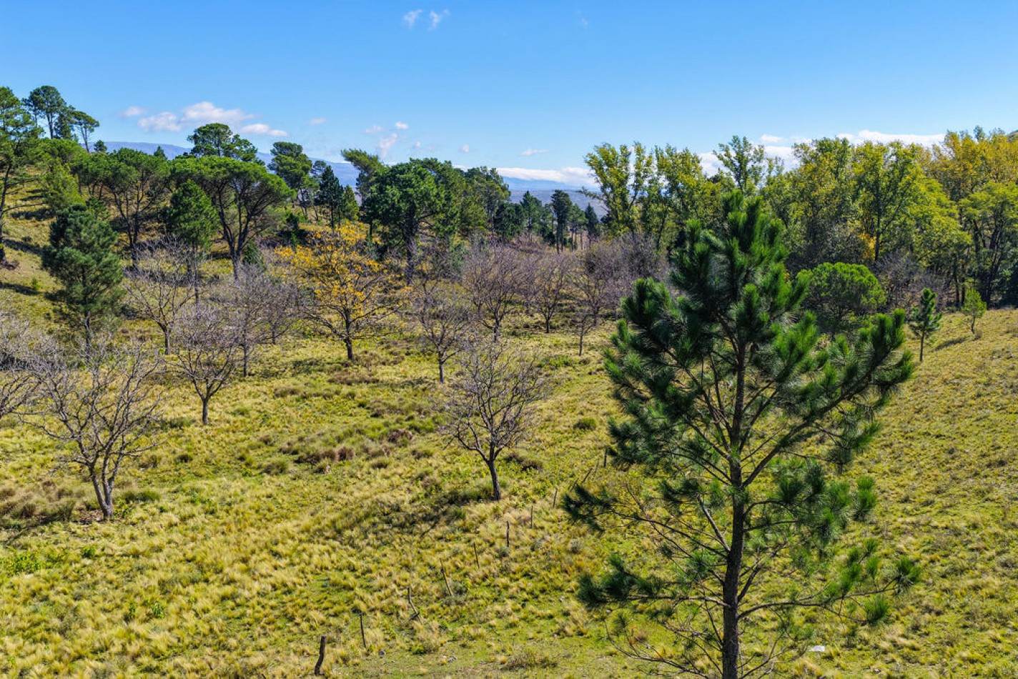 POTRERO DE GARAY- 76 HECTAREAS