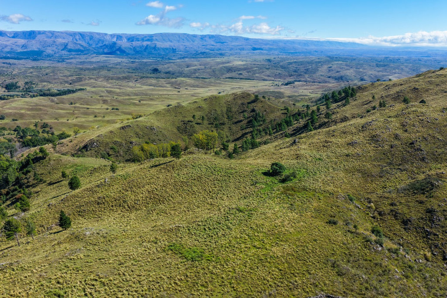 POTRERO DE GARAY- 76 HECTAREAS