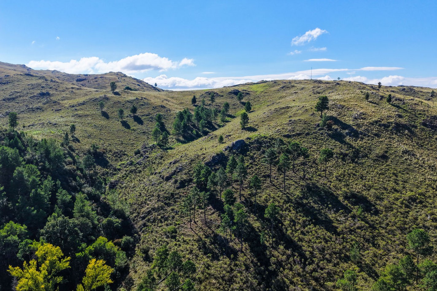 POTRERO DE GARAY- 76 HECTAREAS