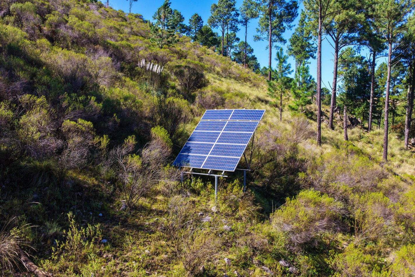 POTRERO DE GARAY- 76 HECTAREAS
