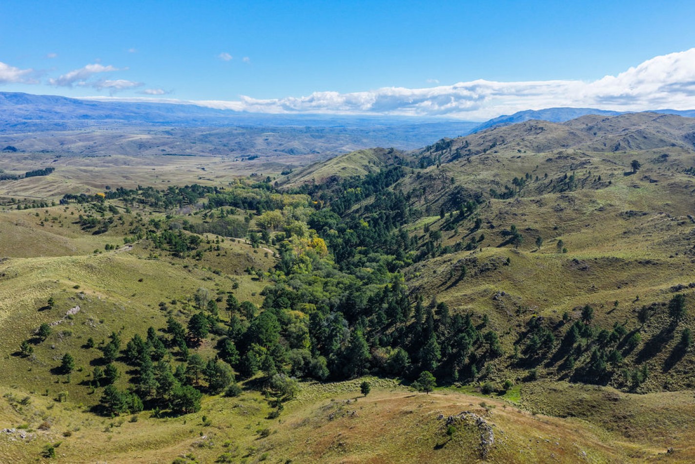 POTRERO DE GARAY- 76 HECTAREAS