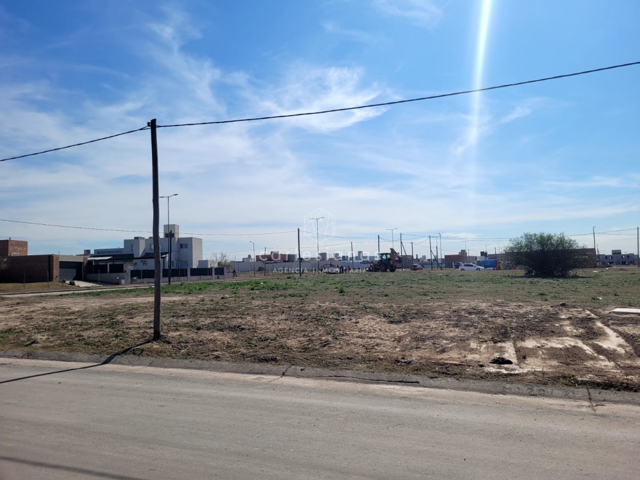 DOCTA LOTE DE 600 M2 APTO COMERCIO O HOUSING - DOCTA AVENIDA