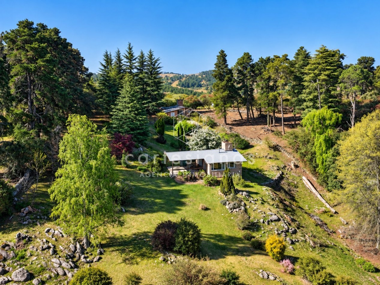 VILLA BERNA. EN VENTA PROPIEDAD DE 2,5 HECTAREAS CON 2 CABAÑAS.