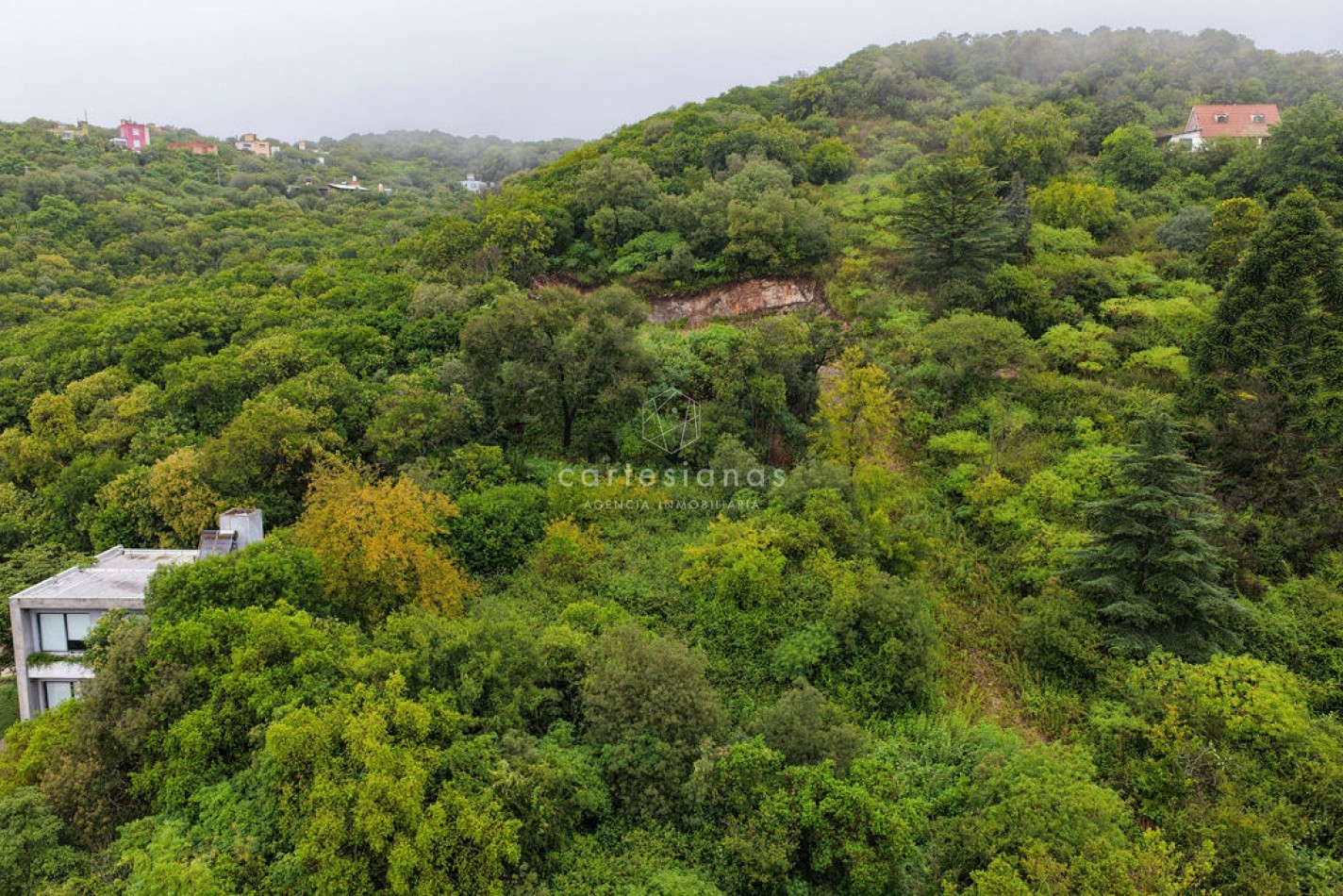OPORTUNIDAD LOTE DE 3500 M2 SOBRE AV. SAN MARTIN | RIO CEBALLOS
