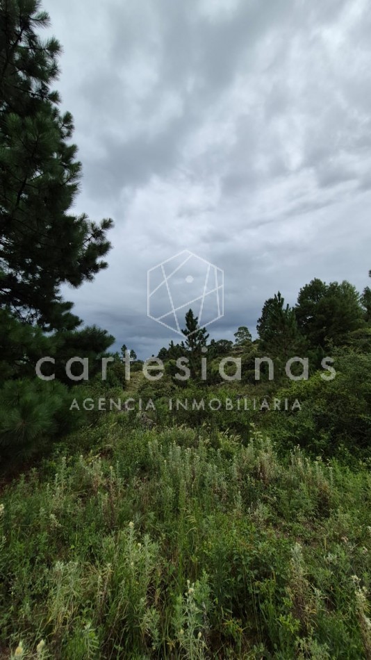 SAN CLEMENTE 9 HECTAREAS C/ SERVICIOS EN VENTA | CORDOBA