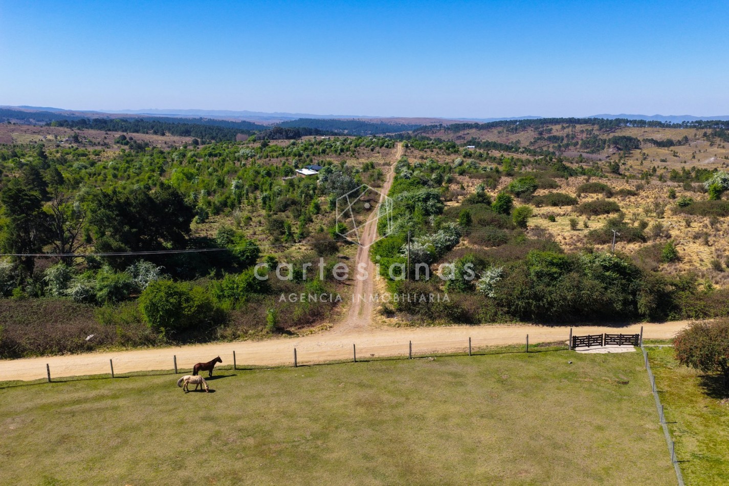 ATENCION! VILLA BERNA. 50 HECTAREAS APTAS PARA VIÑEDO, EMPRENDIMIENTO. 