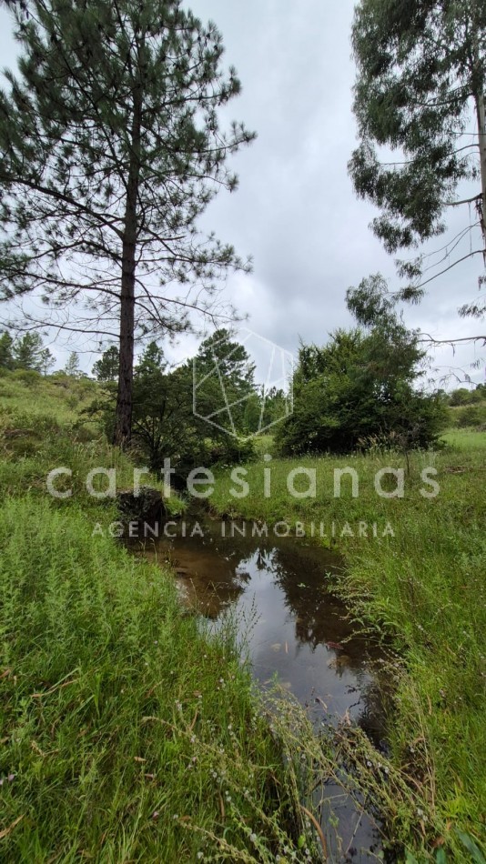 SAN CLEMENTE 9 HECTAREAS C/ SERVICIOS EN VENTA | CORDOBA