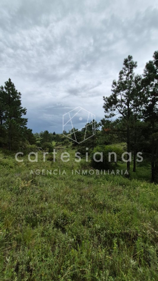 SAN CLEMENTE 9 HECTAREAS C/ SERVICIOS EN VENTA | CORDOBA