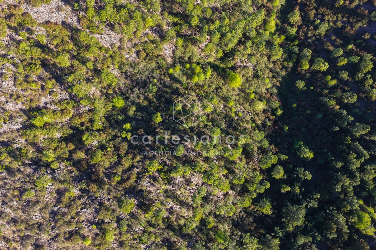 INCREIBLE FRACCION DE 22,5 HECTAREAS A 5 MINUTOS DE LA CUMBRECITA - VILLA BERNA.