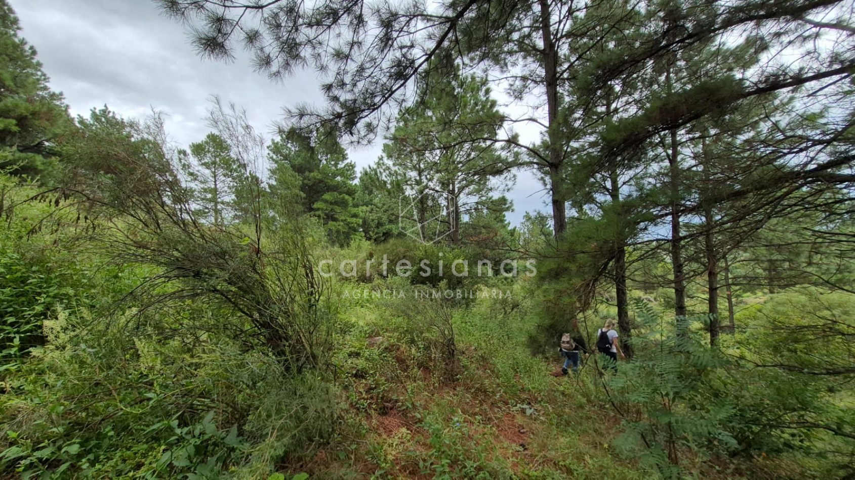 SAN CLEMENTE 9 HECTAREAS C/ SERVICIOS EN VENTA | CORDOBA
