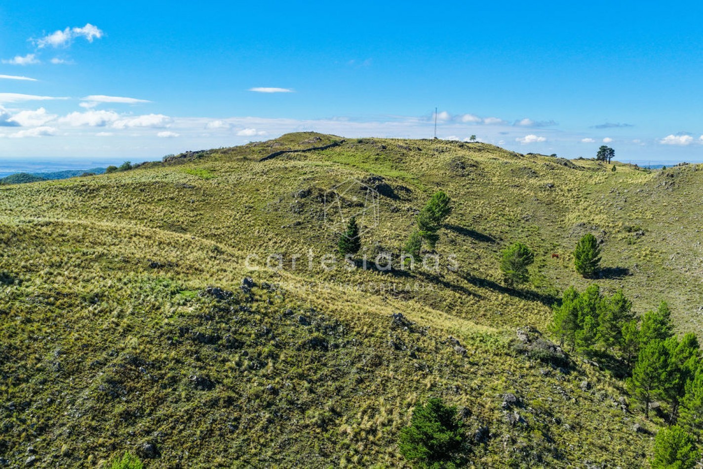 POTRERO DE GARAY | CAMPO DE 80 HECTAREAS + CASA DE 4 DORM
