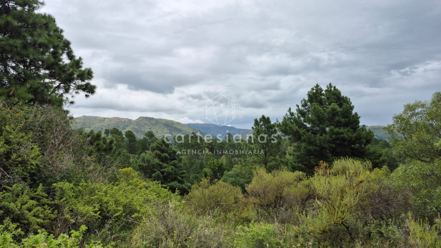 SAN CLEMENTE 9 HECTAREAS C/ SERVICIOS EN VENTA | CORDOBA