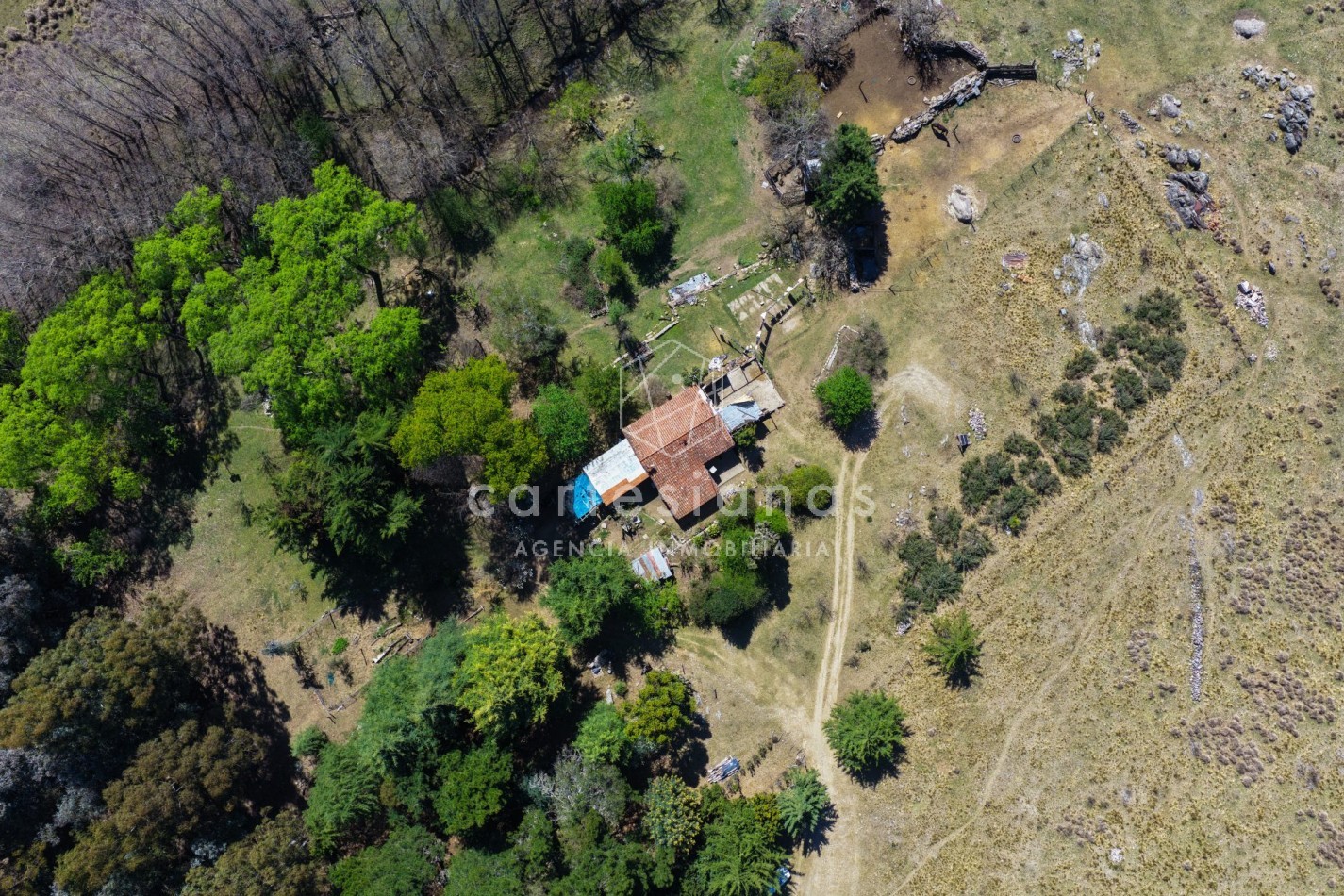 ATENCION! VILLA BERNA. 50 HECTAREAS APTAS PARA VIÑEDO, EMPRENDIMIENTO. 