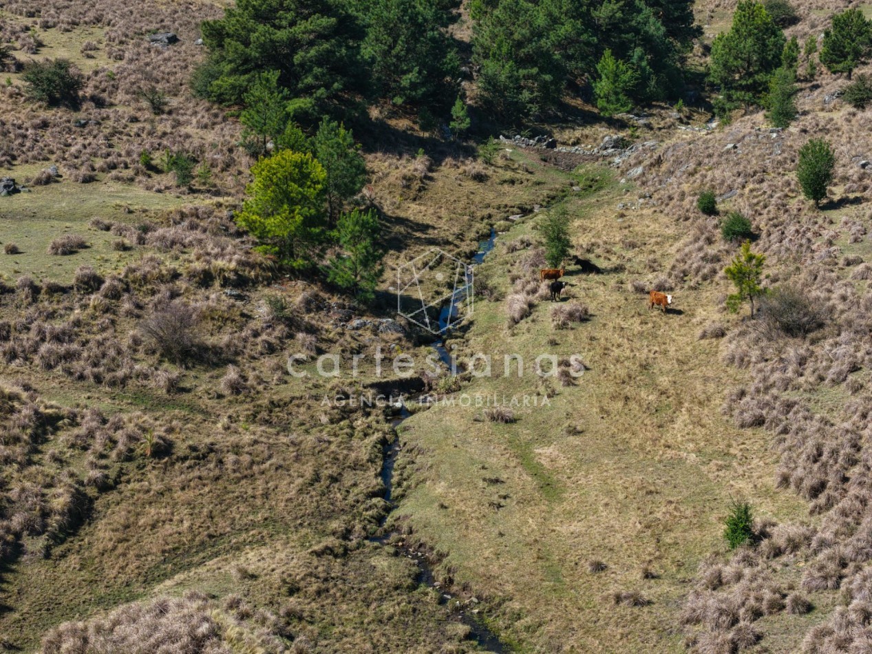 ATENCION! VILLA BERNA. 50 HECTAREAS APTAS PARA VIÑEDO, EMPRENDIMIENTO. 