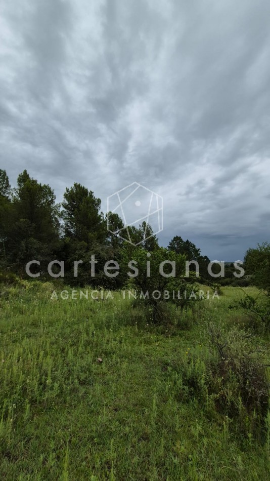 SAN CLEMENTE 9 HECTAREAS C/ SERVICIOS EN VENTA | CORDOBA