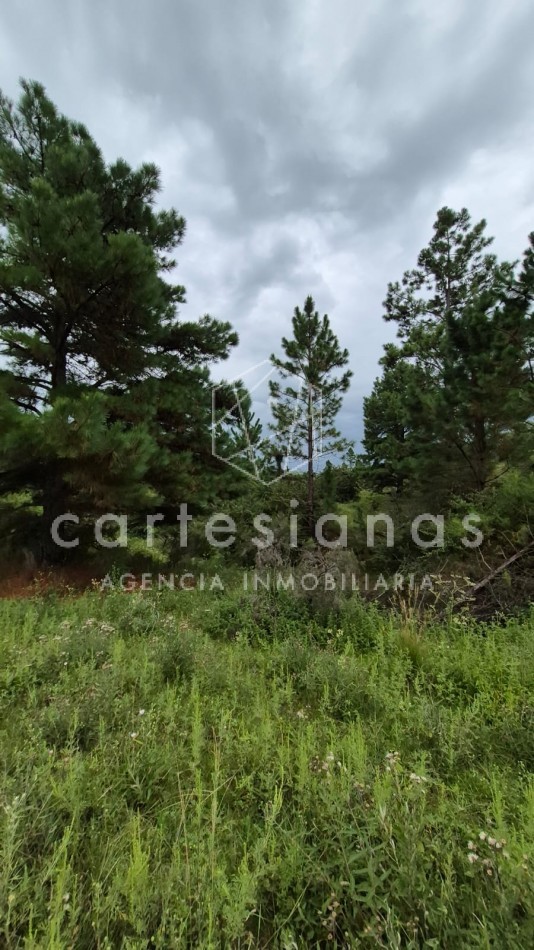 SAN CLEMENTE 9 HECTAREAS C/ SERVICIOS EN VENTA | CORDOBA