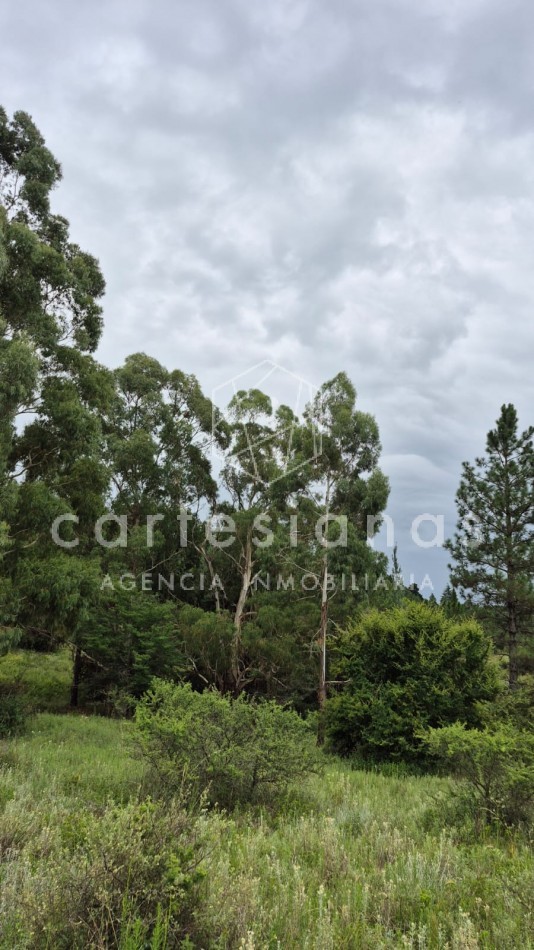 SAN CLEMENTE 9 HECTAREAS C/ SERVICIOS EN VENTA | CORDOBA