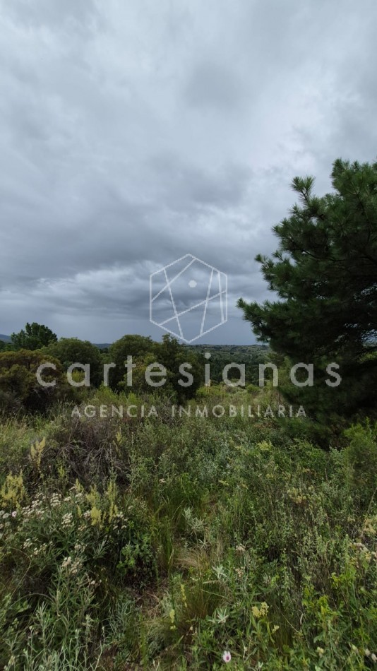 SAN CLEMENTE 9 HECTAREAS C/ SERVICIOS EN VENTA | CORDOBA