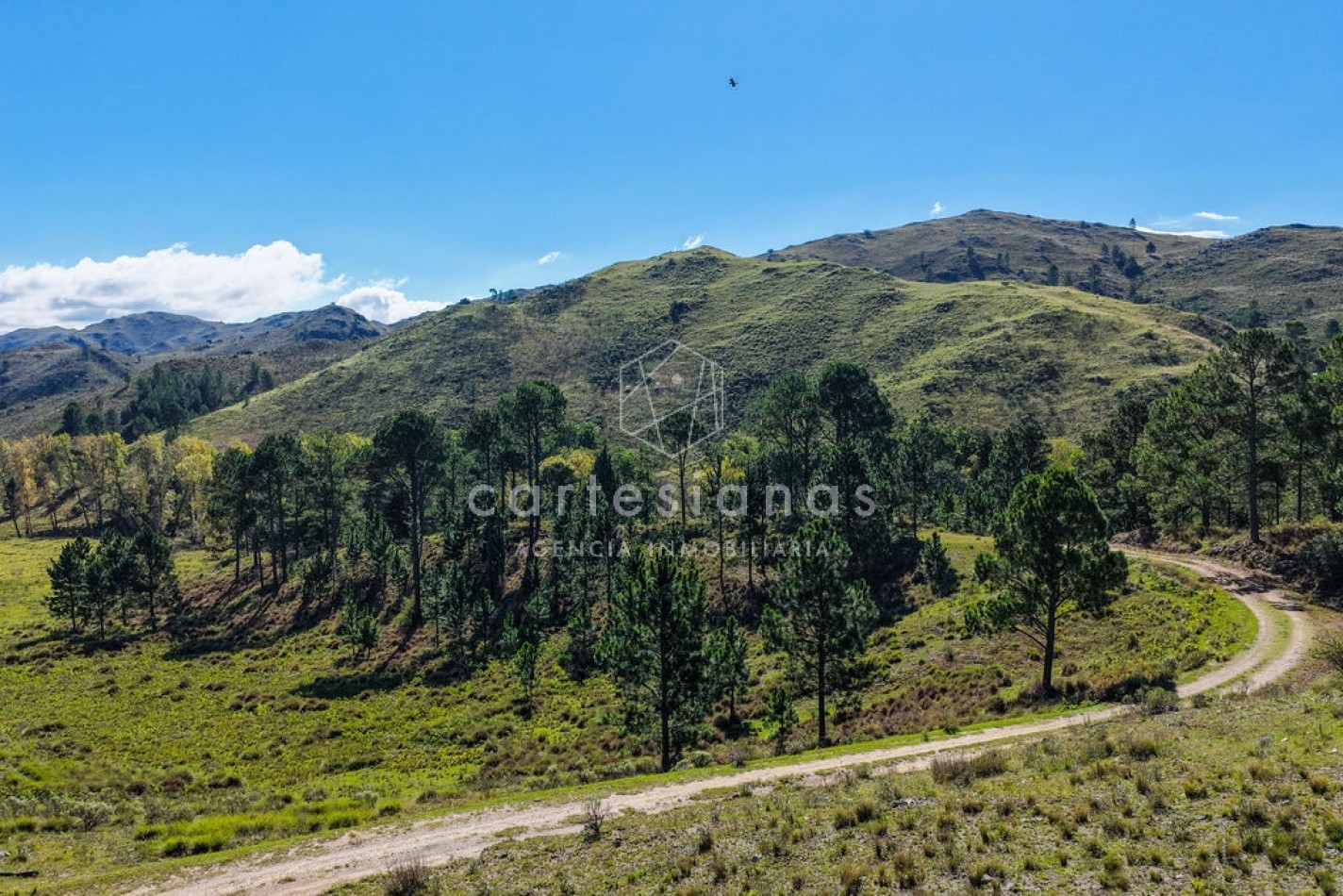 POTRERO DE GARAY | CAMPO DE 80 HECTAREAS + CASA DE 4 DORM+CASA DE SERVICIO+GALPON 